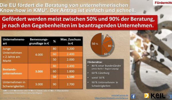 Eine Infografik zum Thema Fördermittel