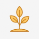 Ein Icon mit einer dreiblättrigen Pflanze
